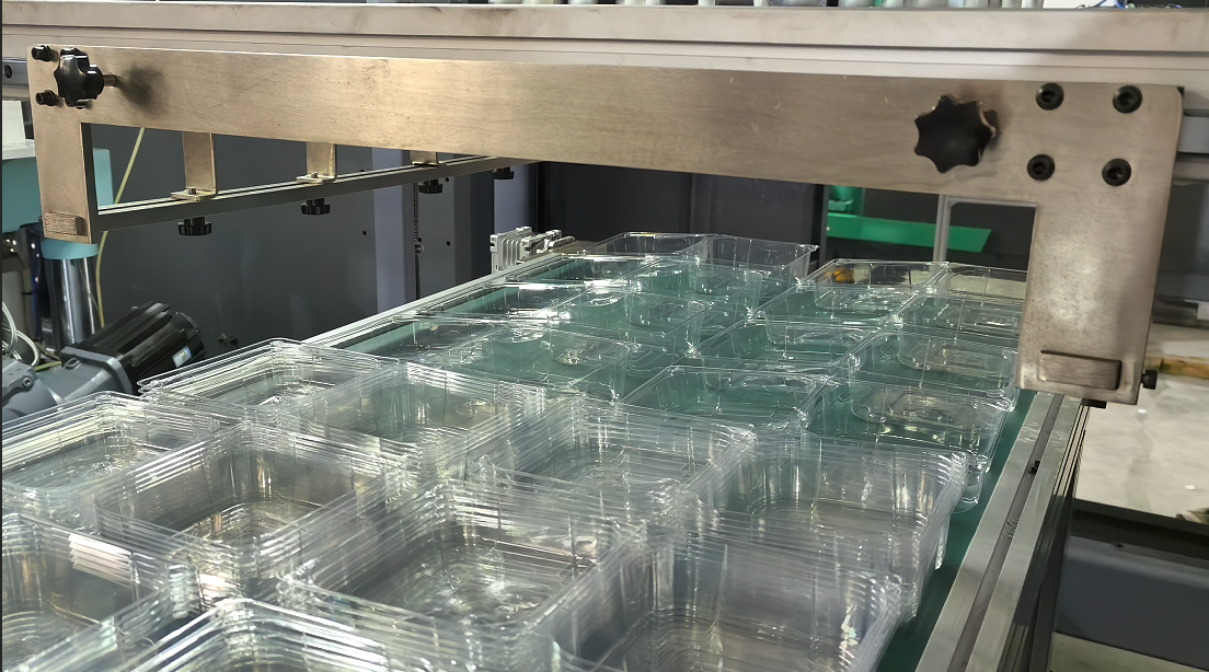 How PET Bread Boxes Are Automatically Formed | AIRAYS Thermoforming Machine