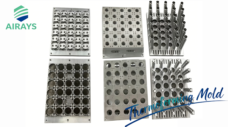 Thermoforming Mold for Egg Yolk Pastry Containers