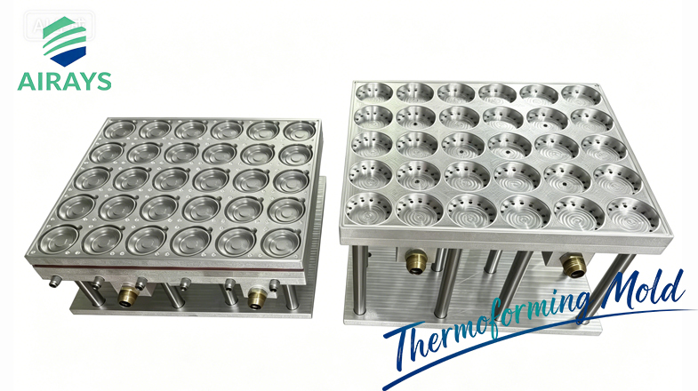 Thermoforming Mold for Egg Yolk Pastry Containers