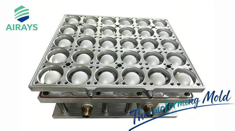 Thermoforming Mold for Egg Yolk Pastry Containers
