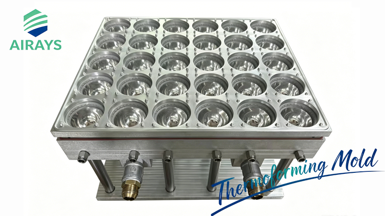Thermoforming Mold for Egg Yolk Pastry Containers
