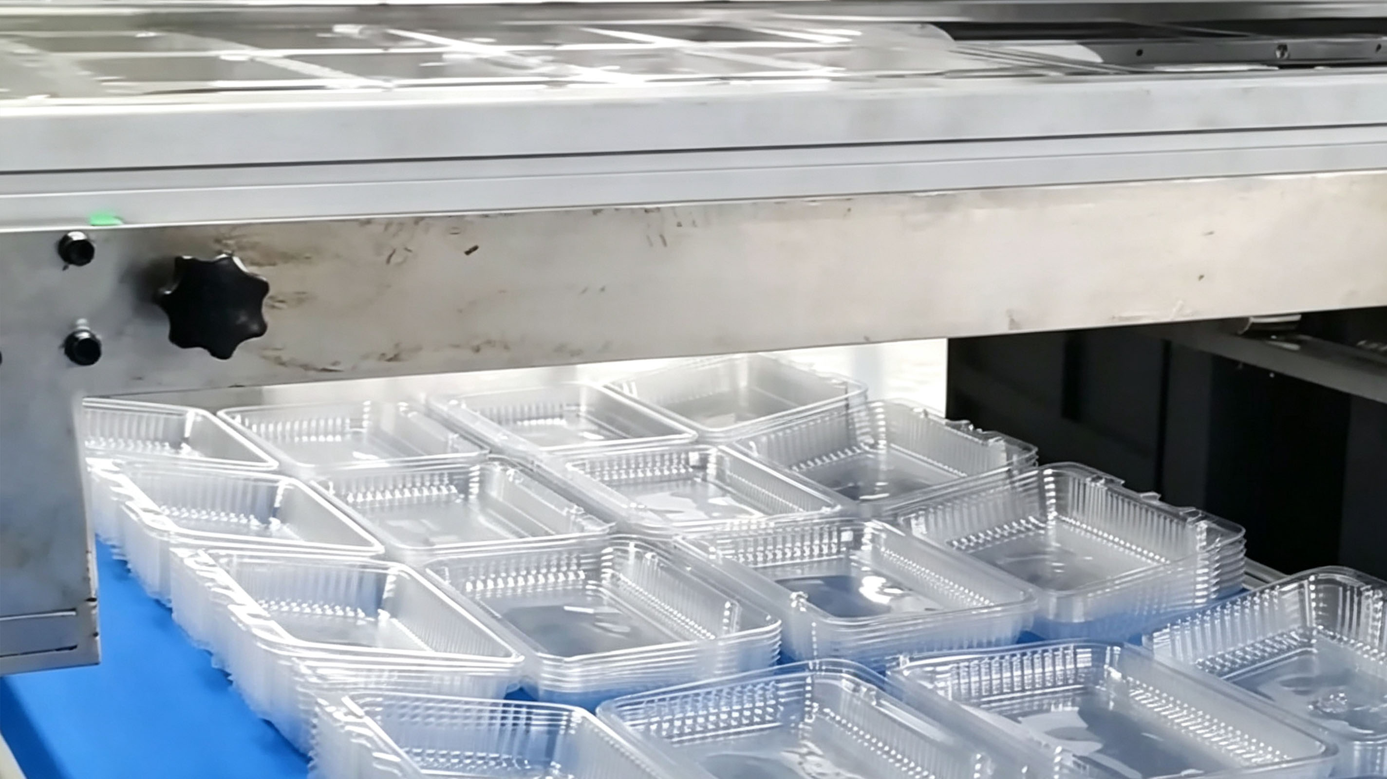 How plastic fruit boxes are made｜Multi‑Station Thermoformer｜AIRAYS