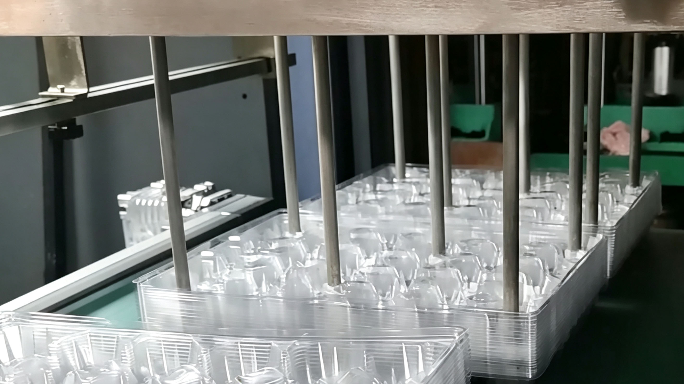 How Plastic Egg Trays Are Made｜Multi‑Station Thermoformer｜AIRAYS